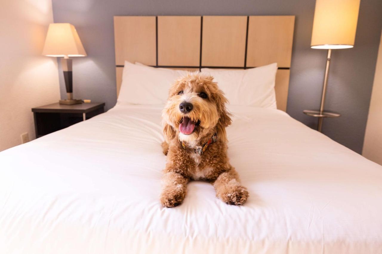 Sonesta Simply Suites Birmingham Hoover Eksteriør bilde